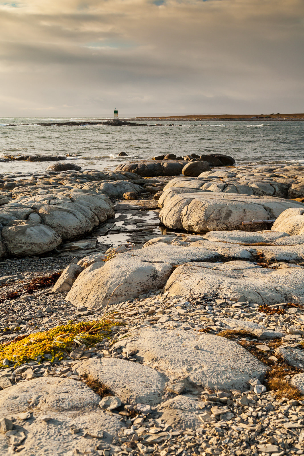 Rare thromoblites at Flower's Cove