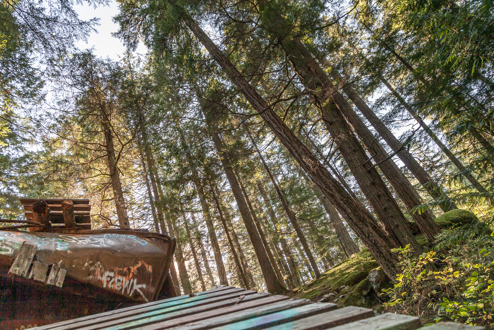 The Train Wreck near Whistler, BC