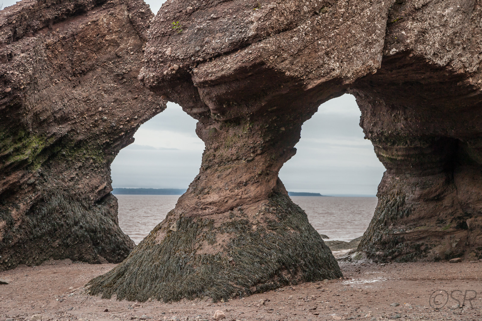 Hopewell Rocks (Flower Pot Rocks), Hopewell Cape, NB