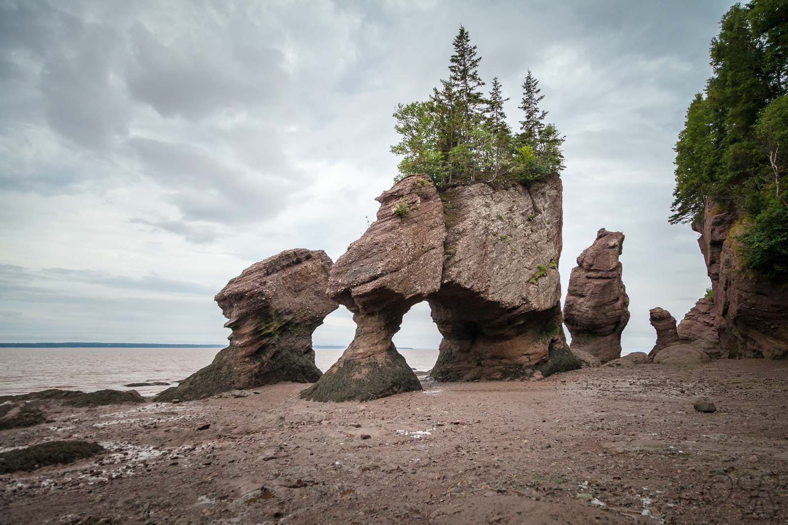 Hopewell Rocks (Flower Pot Rocks), Hopewell Cape, NB