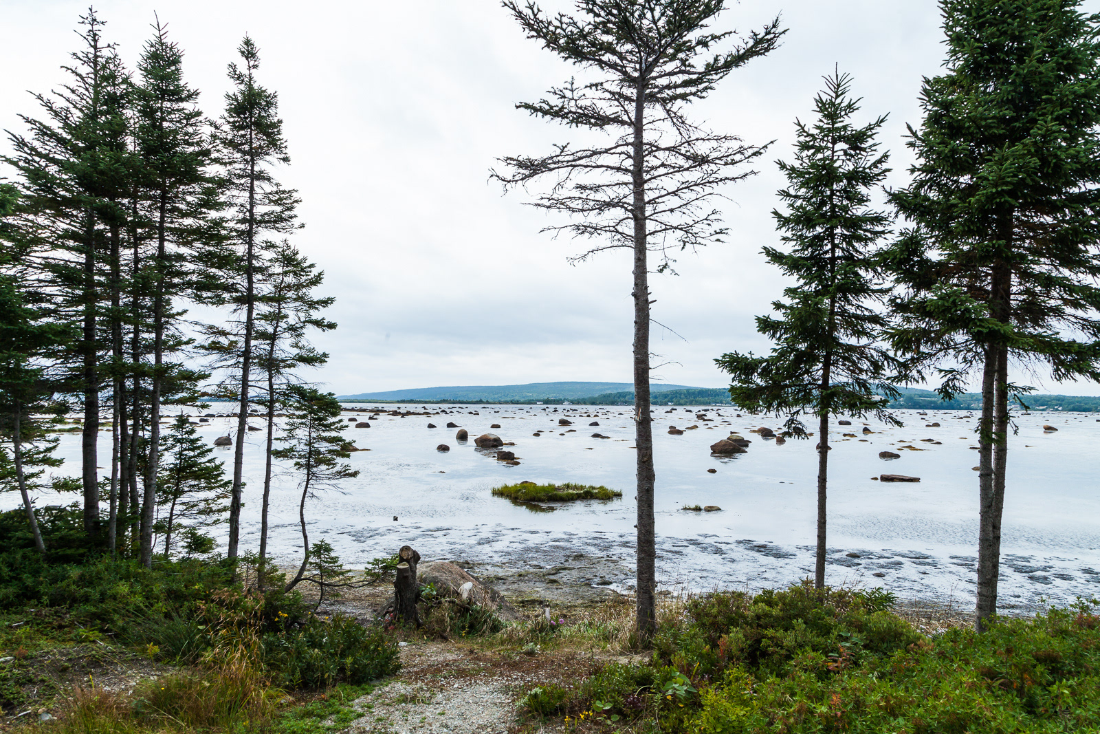Freshwater Bay, Gambo