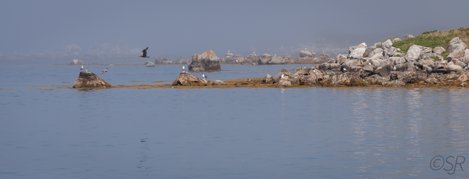 Cape Sable Island, NS