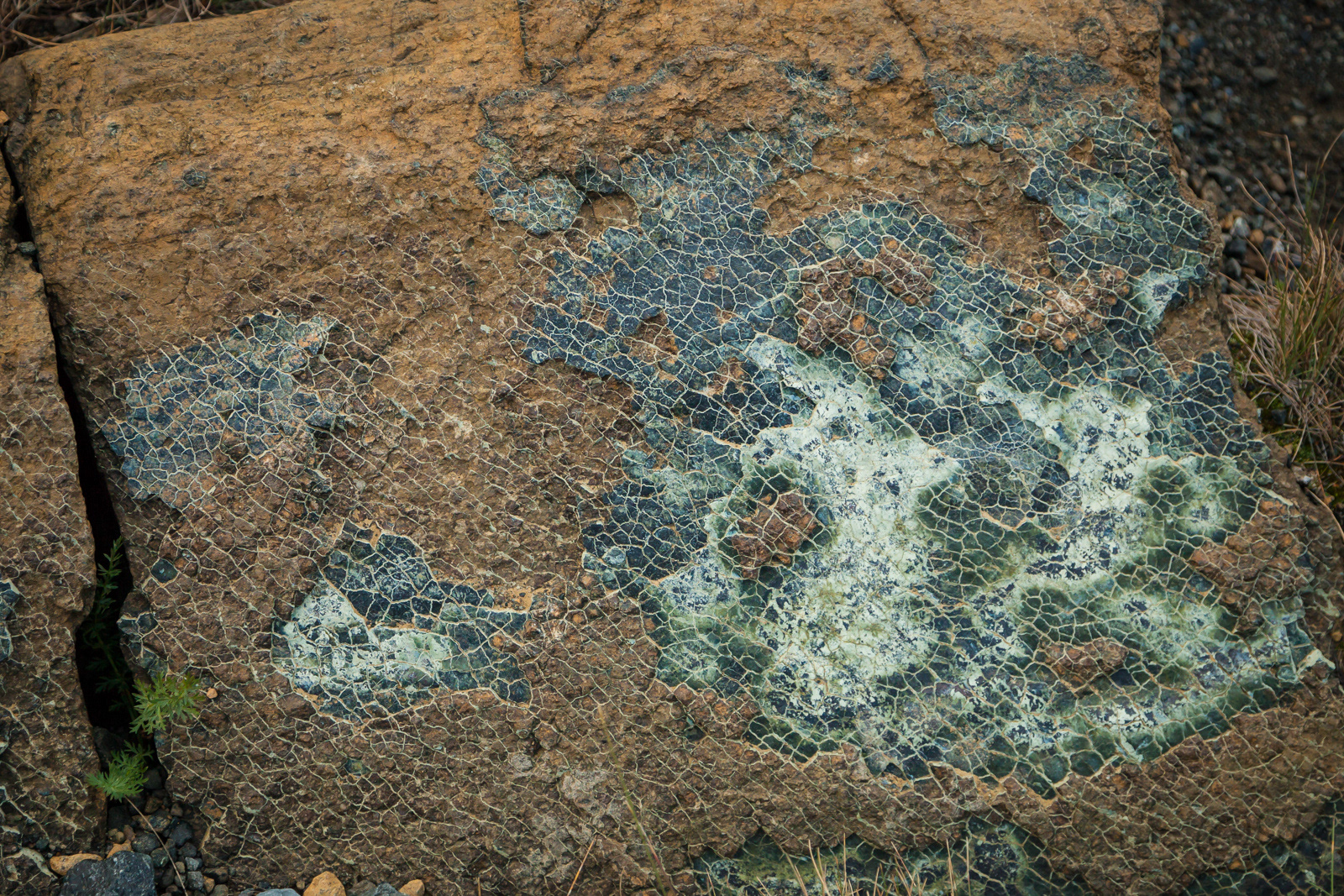 The Tablelands, Gros Morne National Park