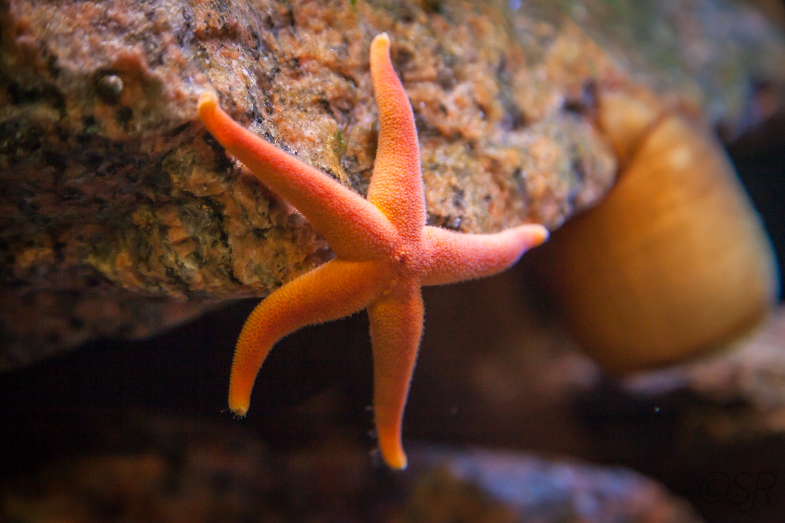 Marine Environment Discovery Centre near Les Escoumins, Quebec