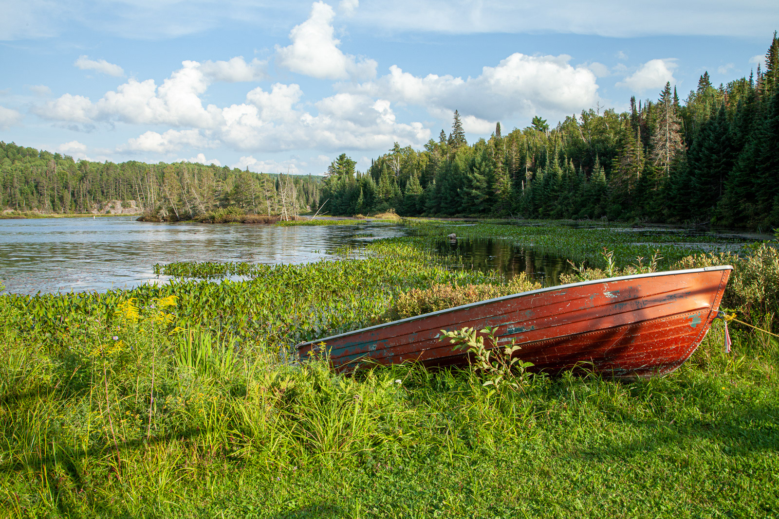 Algonquin Park