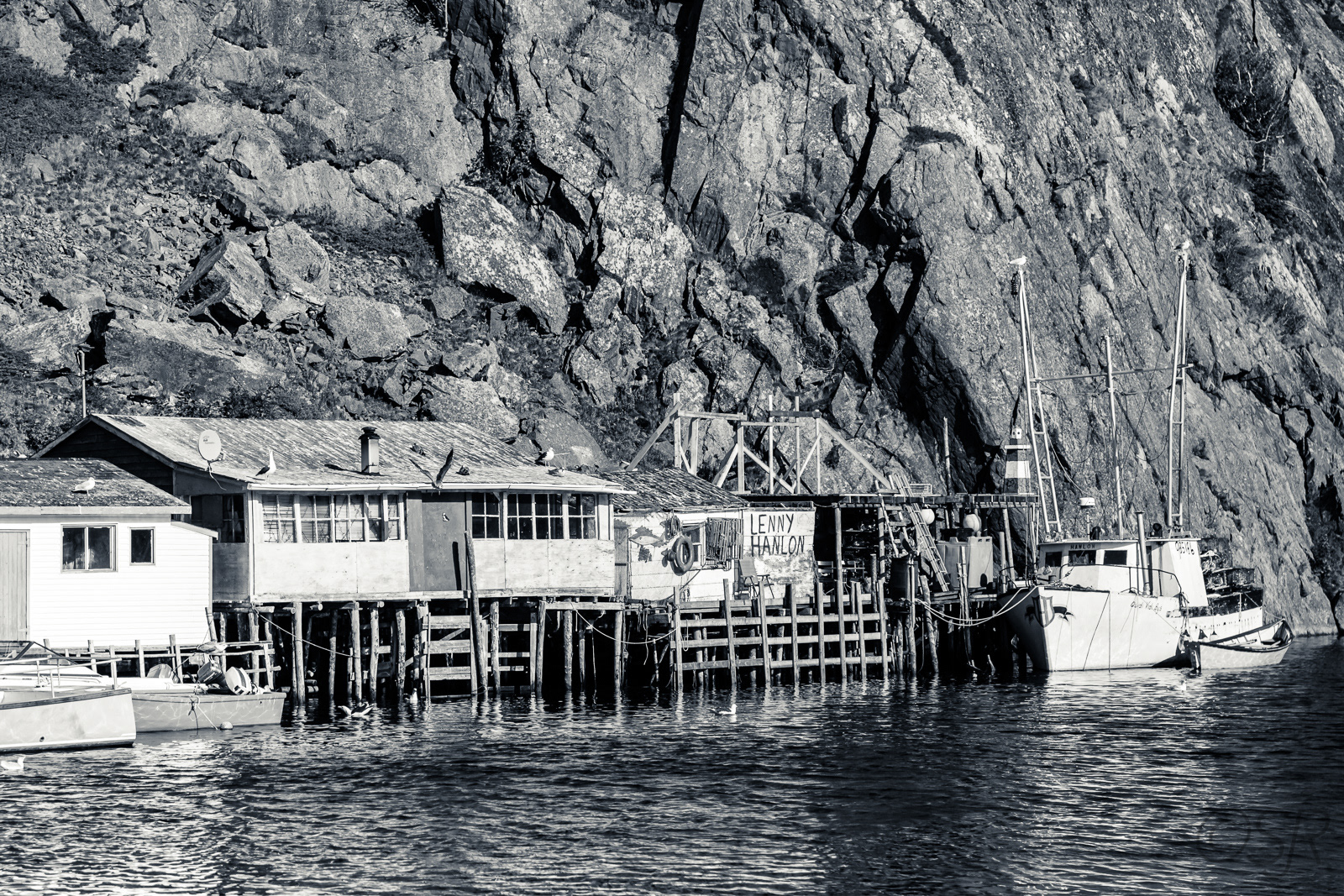 Quidi Vidi Harbour