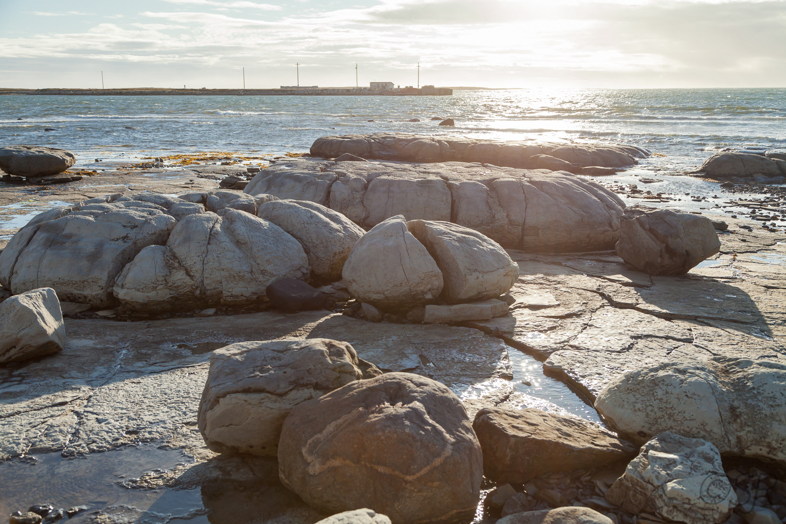 Rare thromoblites at Flower's Cove