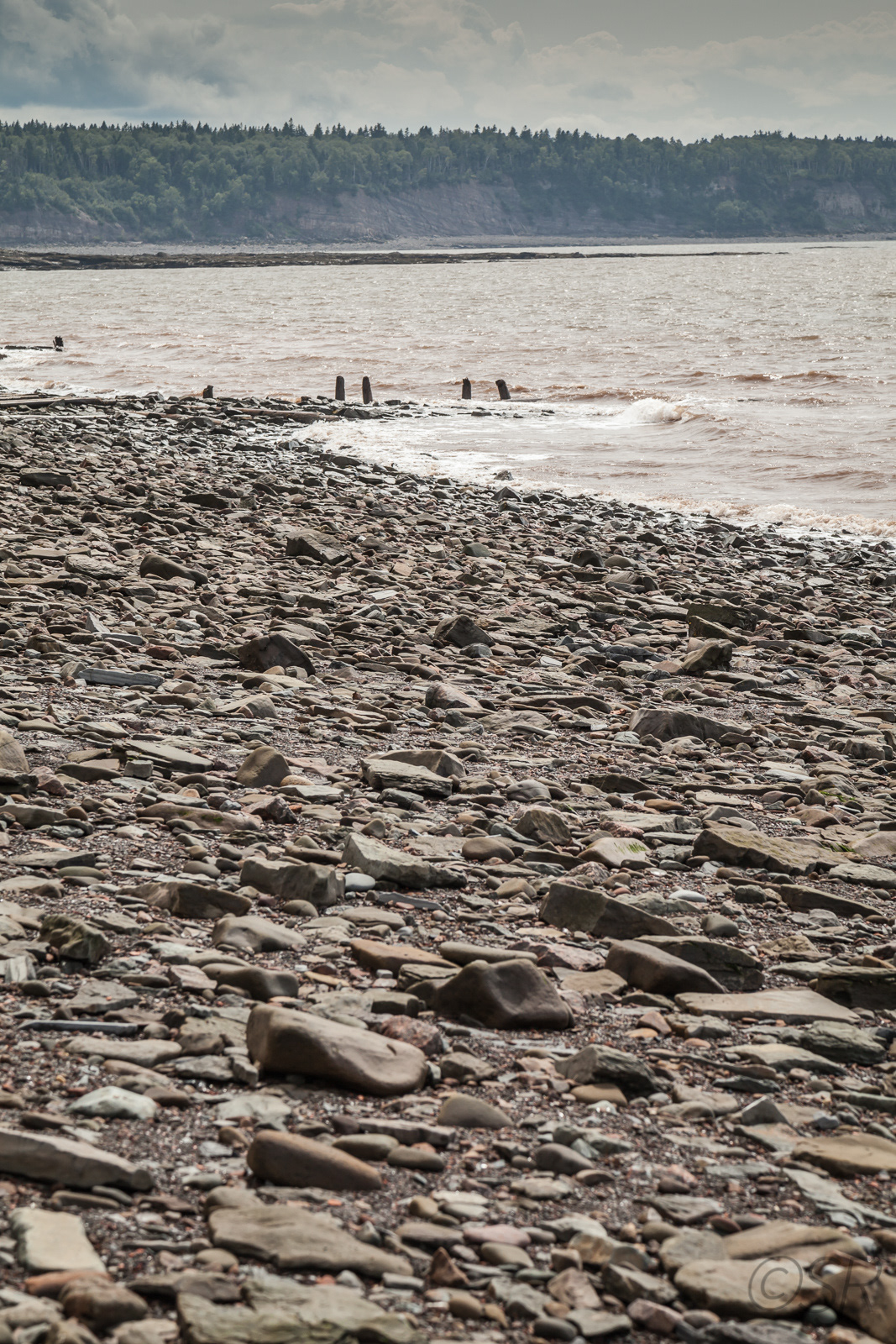 Joggins Fossil Cliffs beach, NS