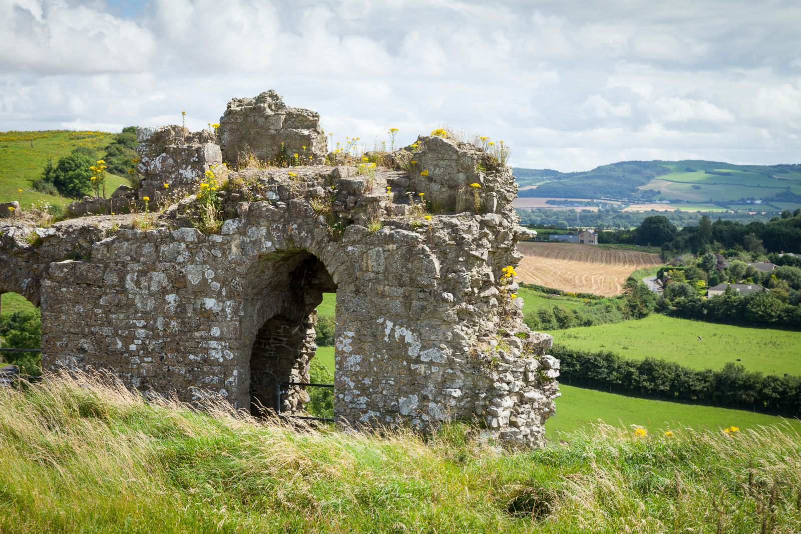 View from Rock of Dunamase, Co. Laois, Ireland