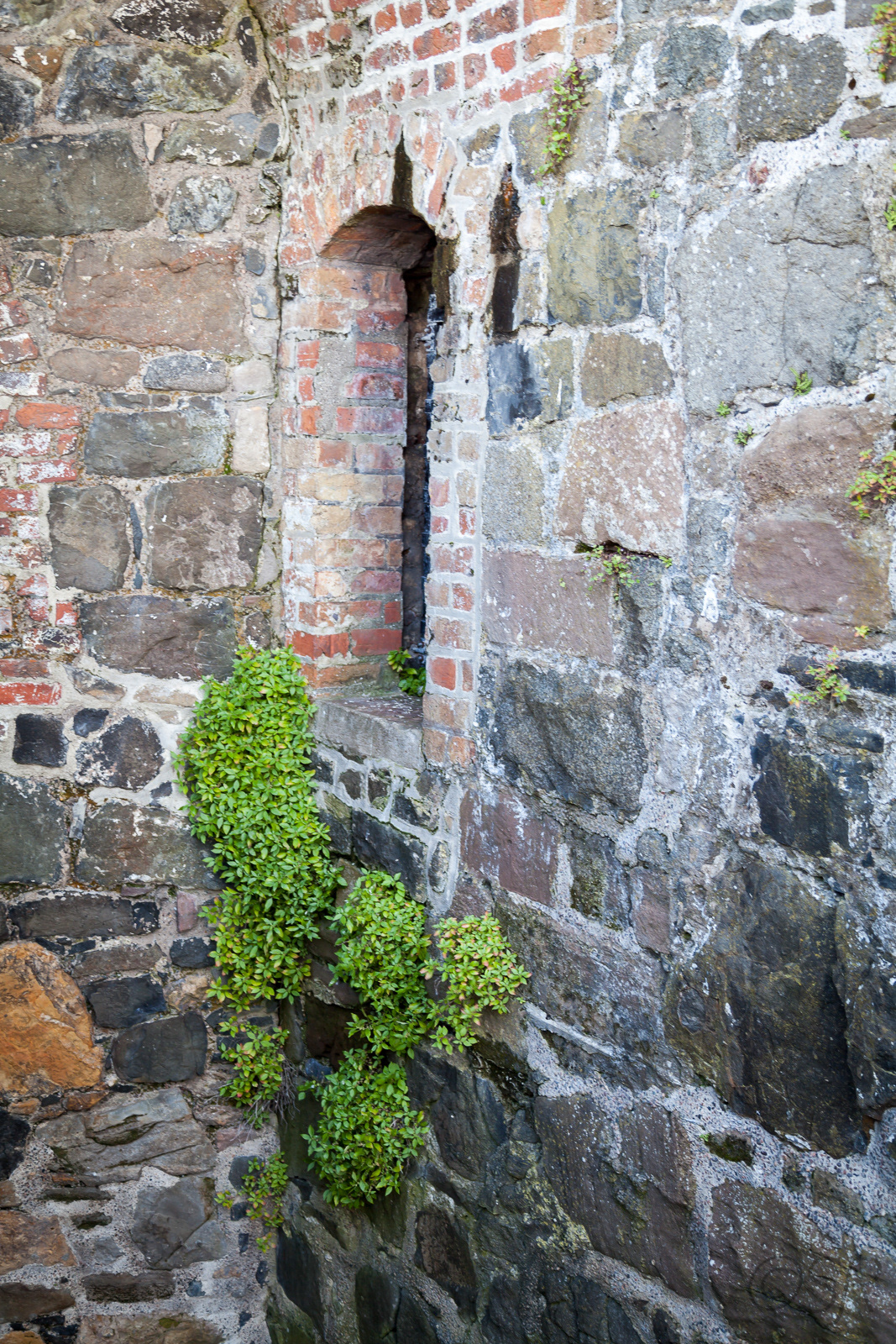 Carrickfergus Castle, Northern Ireland