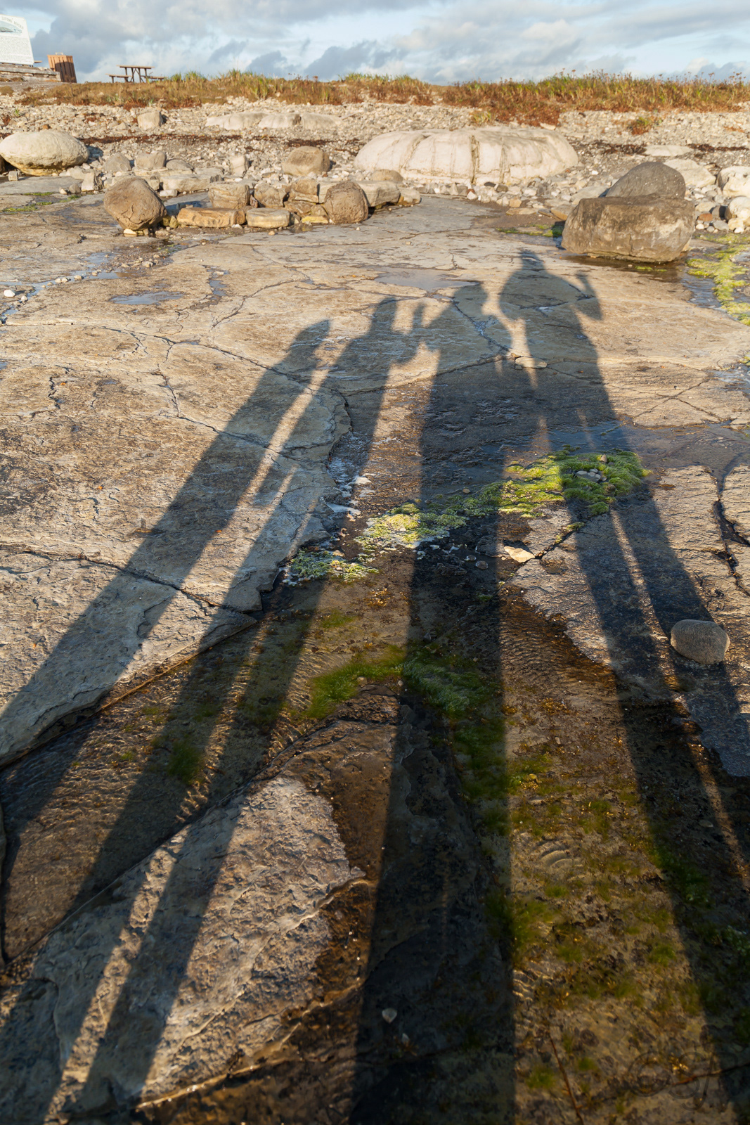 Family portrait at Flower's Cove