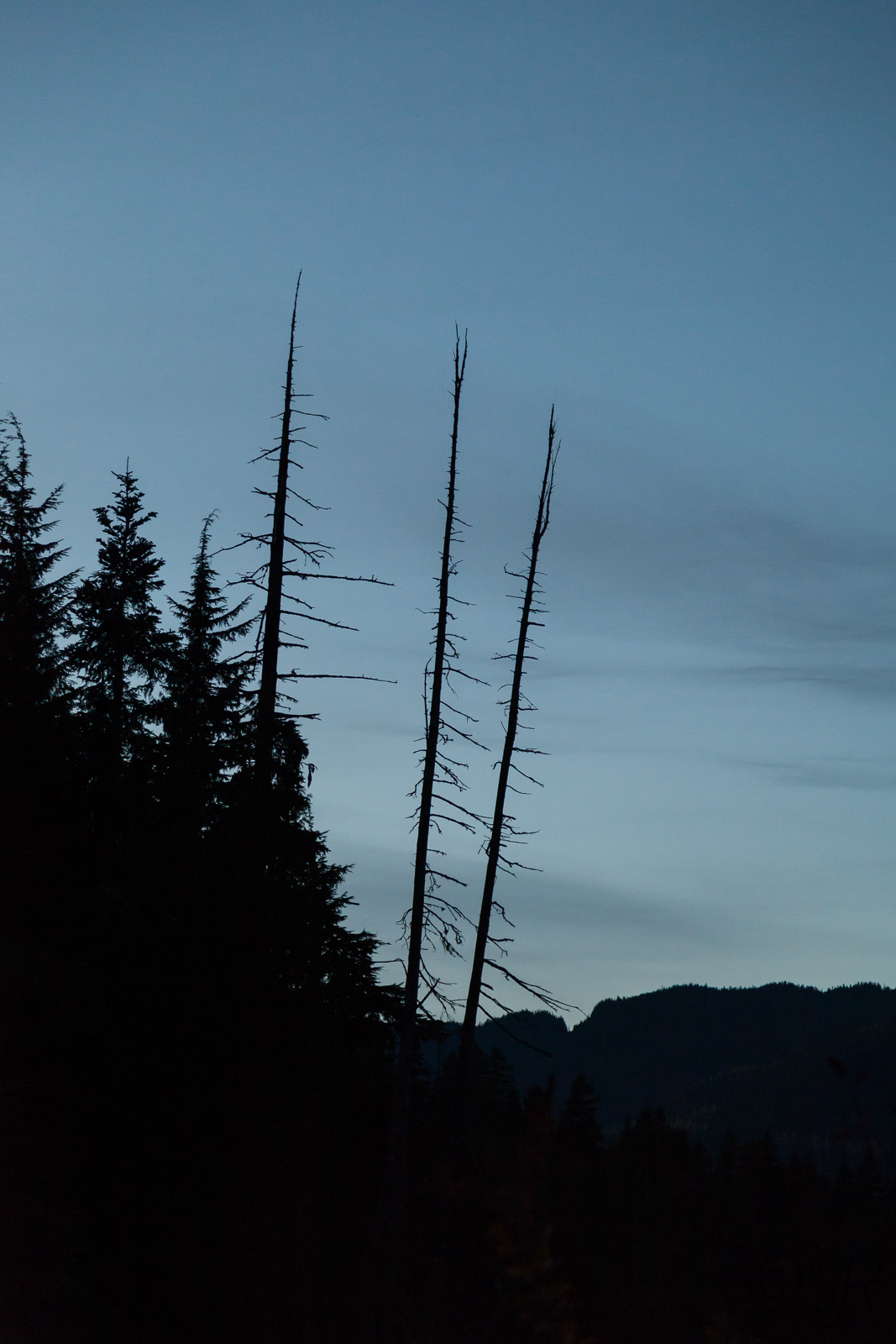 Lost Lake Trail, Whistler