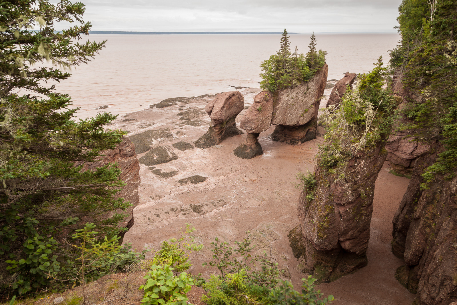 Hopewell Rocks (Flower Pot Rocks), Hopewell Cape, NB