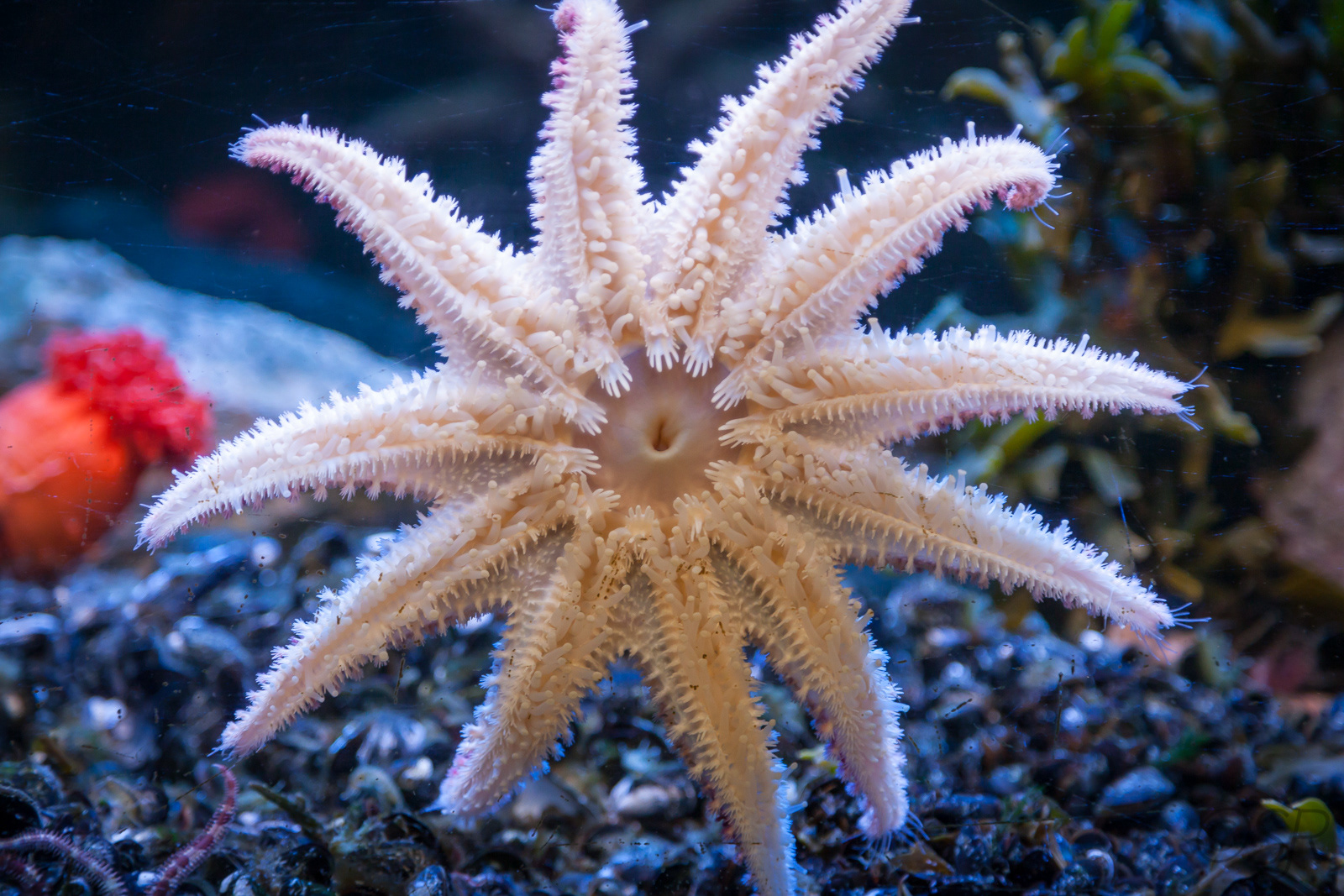 Marine Environment Discovery Centre near Les Escoumins, Quebec