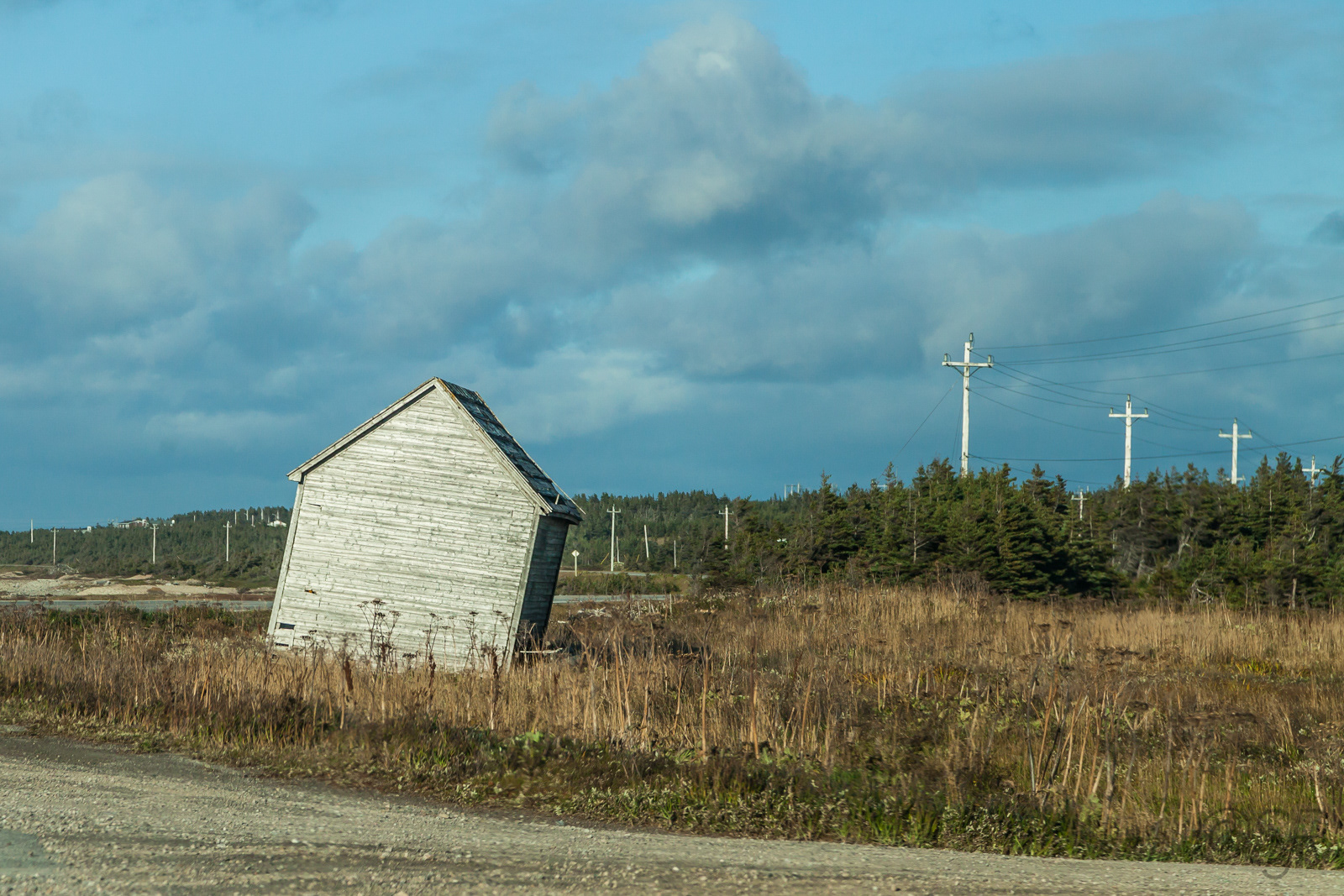 Along the Viking Trail