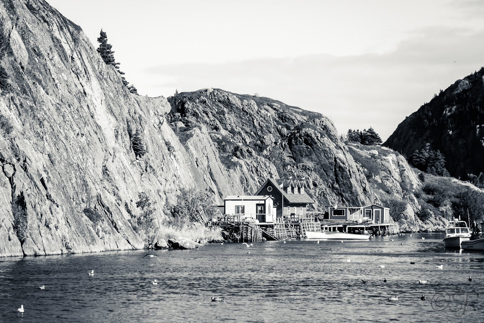Quidi Vidi Harbour