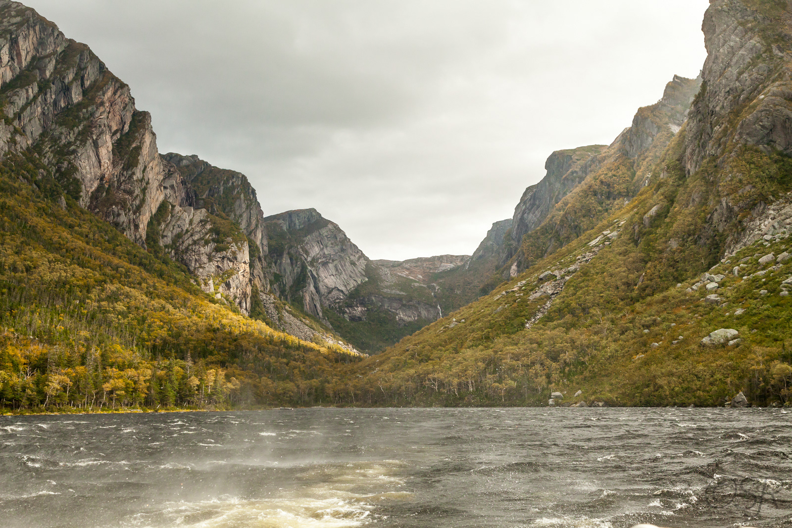 A view towards Western Brook Pond