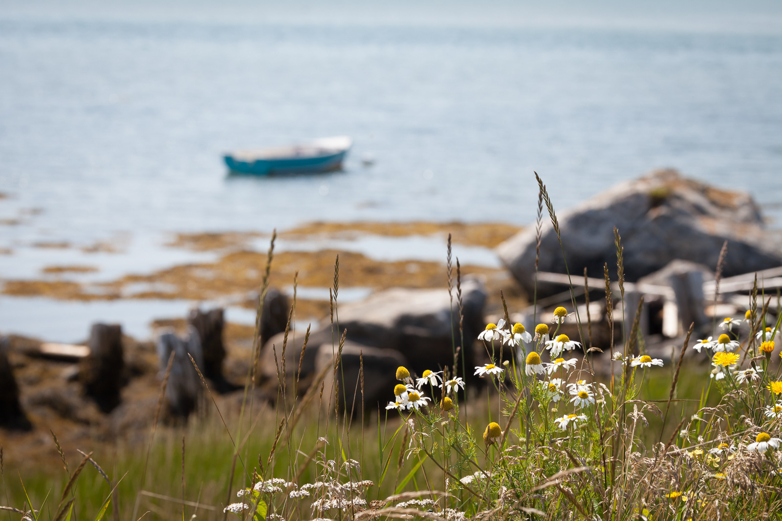 Cape Sable Island, NS
