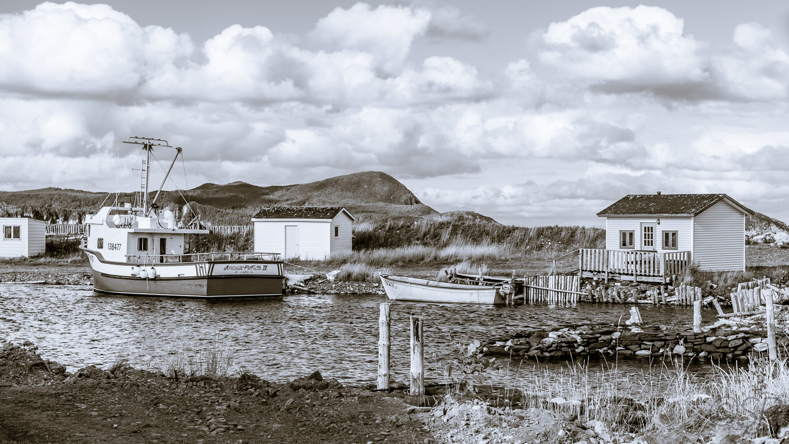  Harbour at Colony of Avalon, Ferryland
