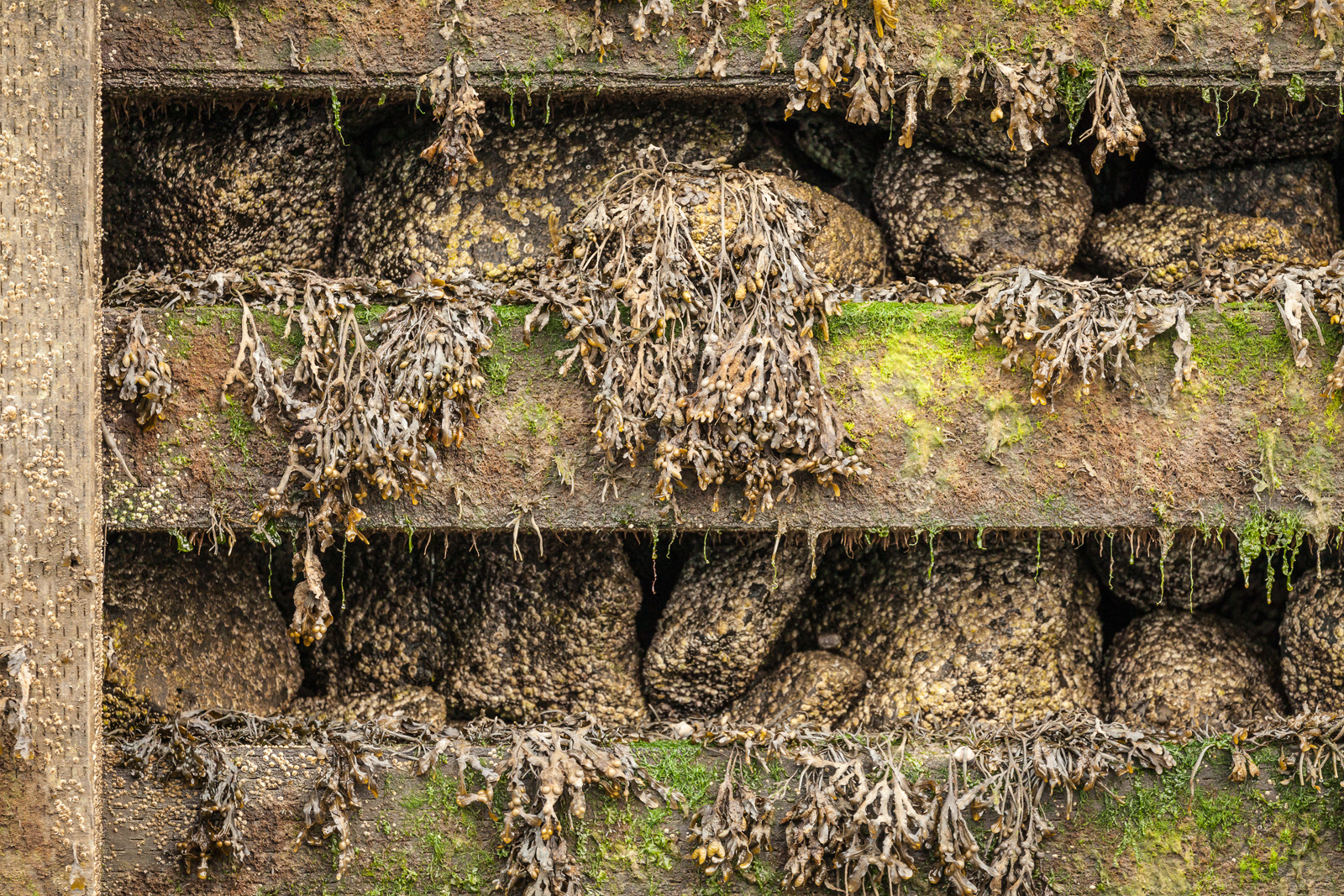 Westport, Brier Island, Digby Neck, NS