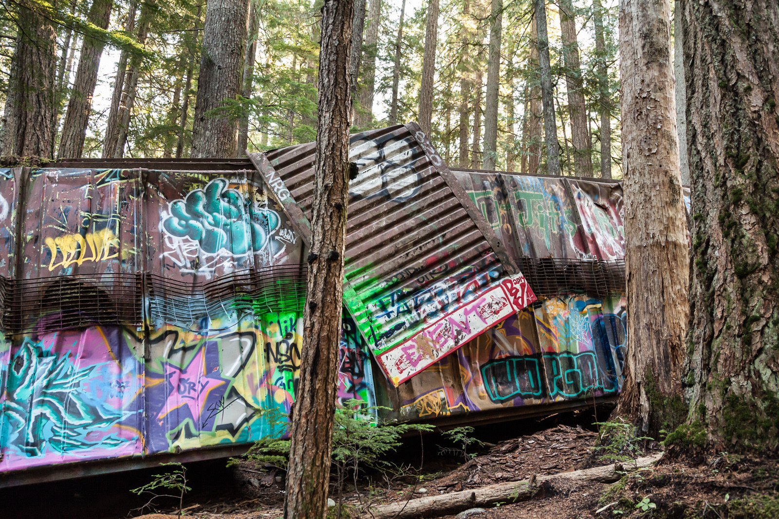 The Train Wreck near Whistler, BC