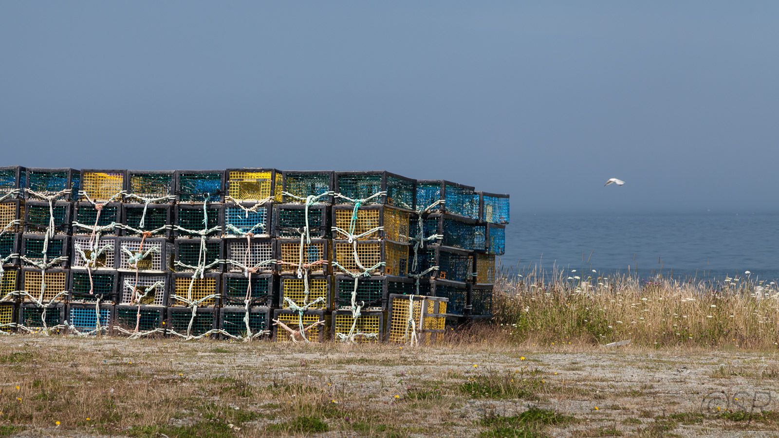 Cape Sable Island, NS