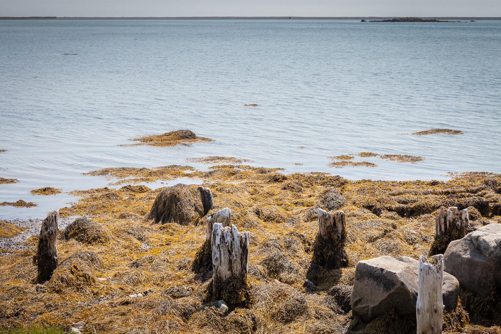 Cape Sable Island, NS