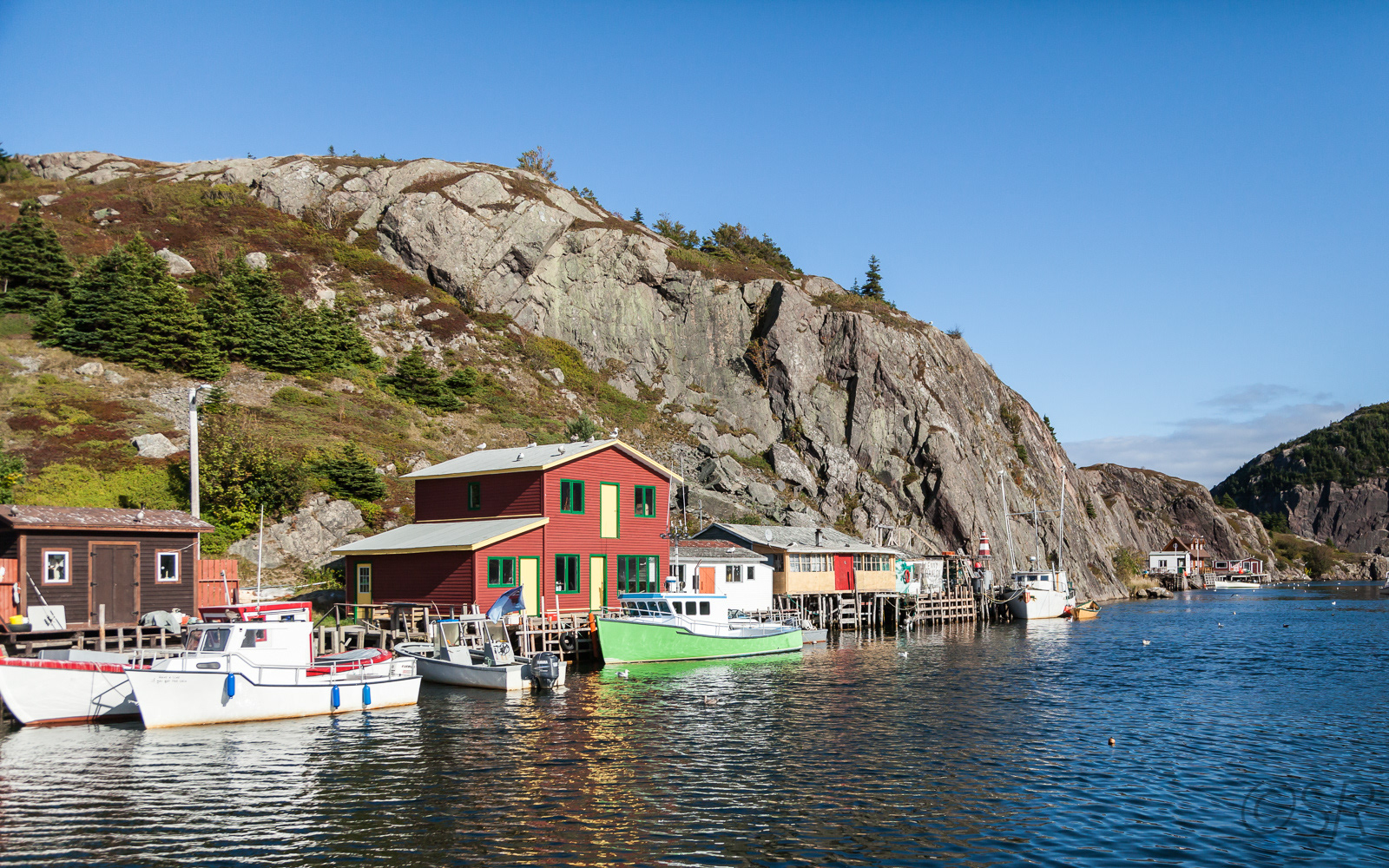 Quidi Vidi Harbour