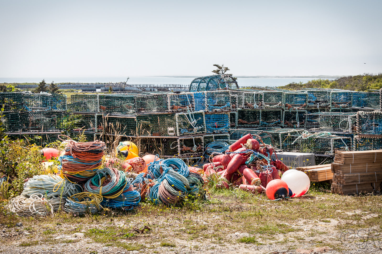 Cape Sable Island, NS