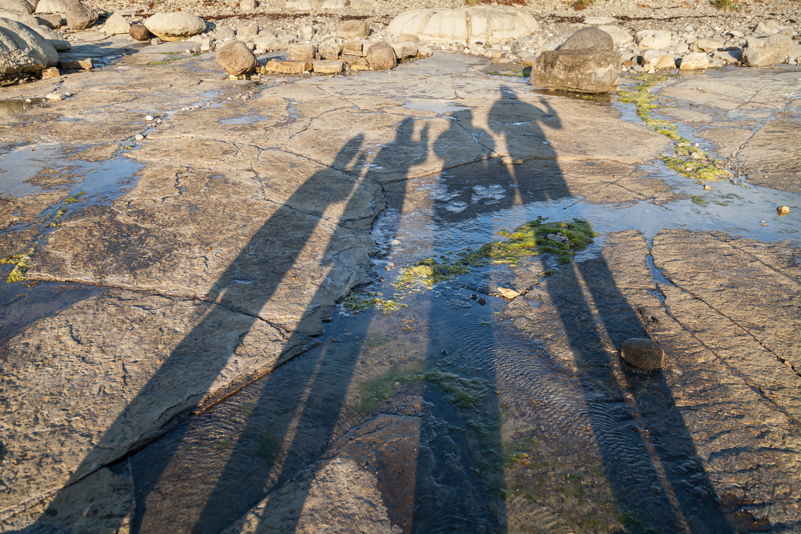 Family portrait at Flower's Cove