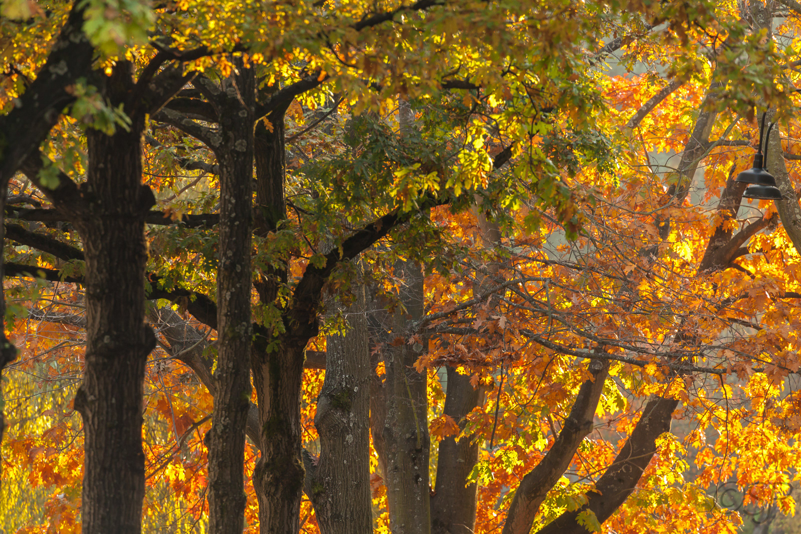 Granville Island, Vancouver
