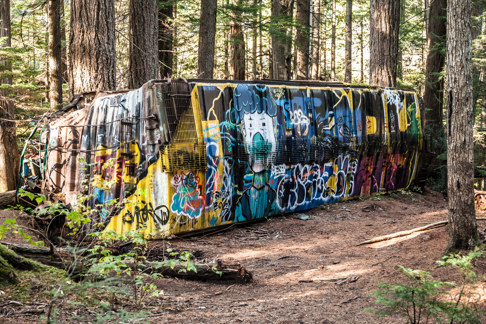 The Train Wreck near Whistler, BC