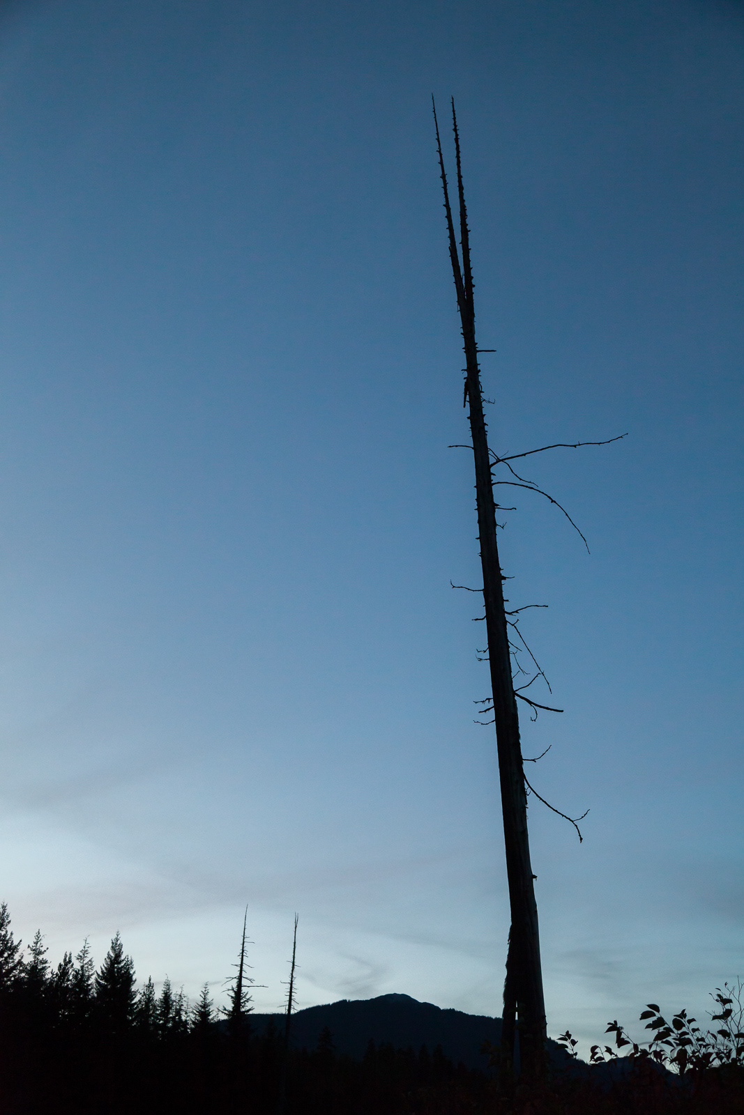 Lost Lake Trail, Whistler