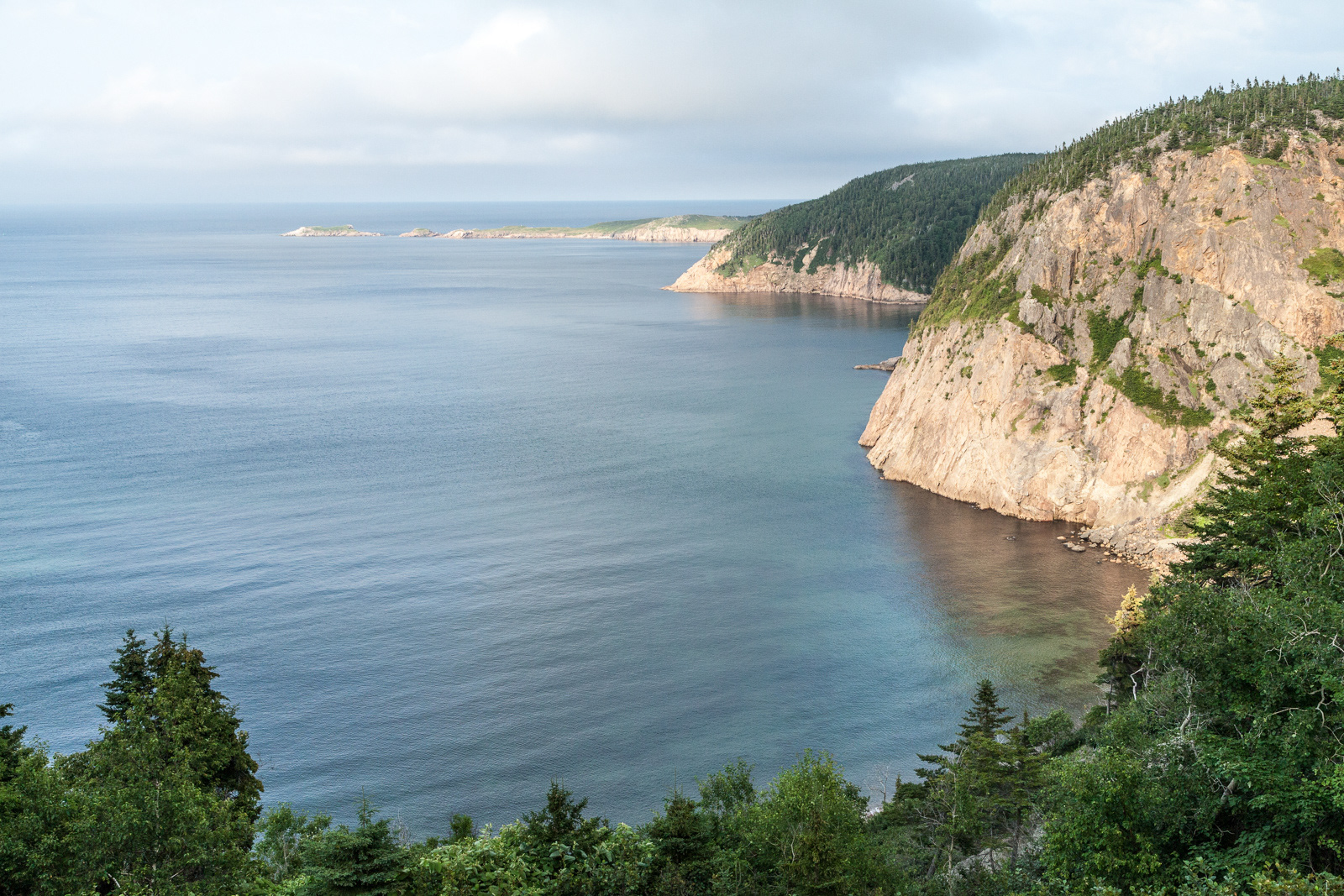 Along White Point Road, just off the Cabot Trail