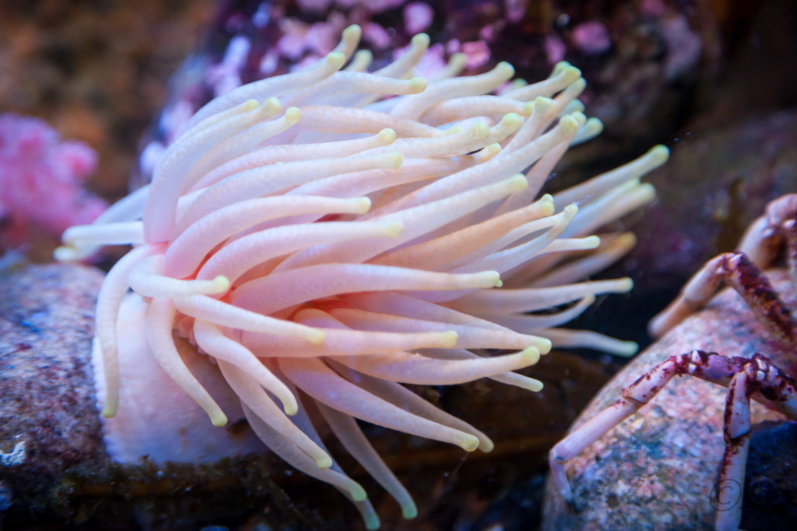 Marine Environment Discovery Centre near Les Escoumins, Quebec