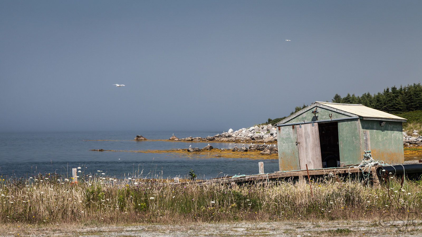 Cape Sable Island, NS