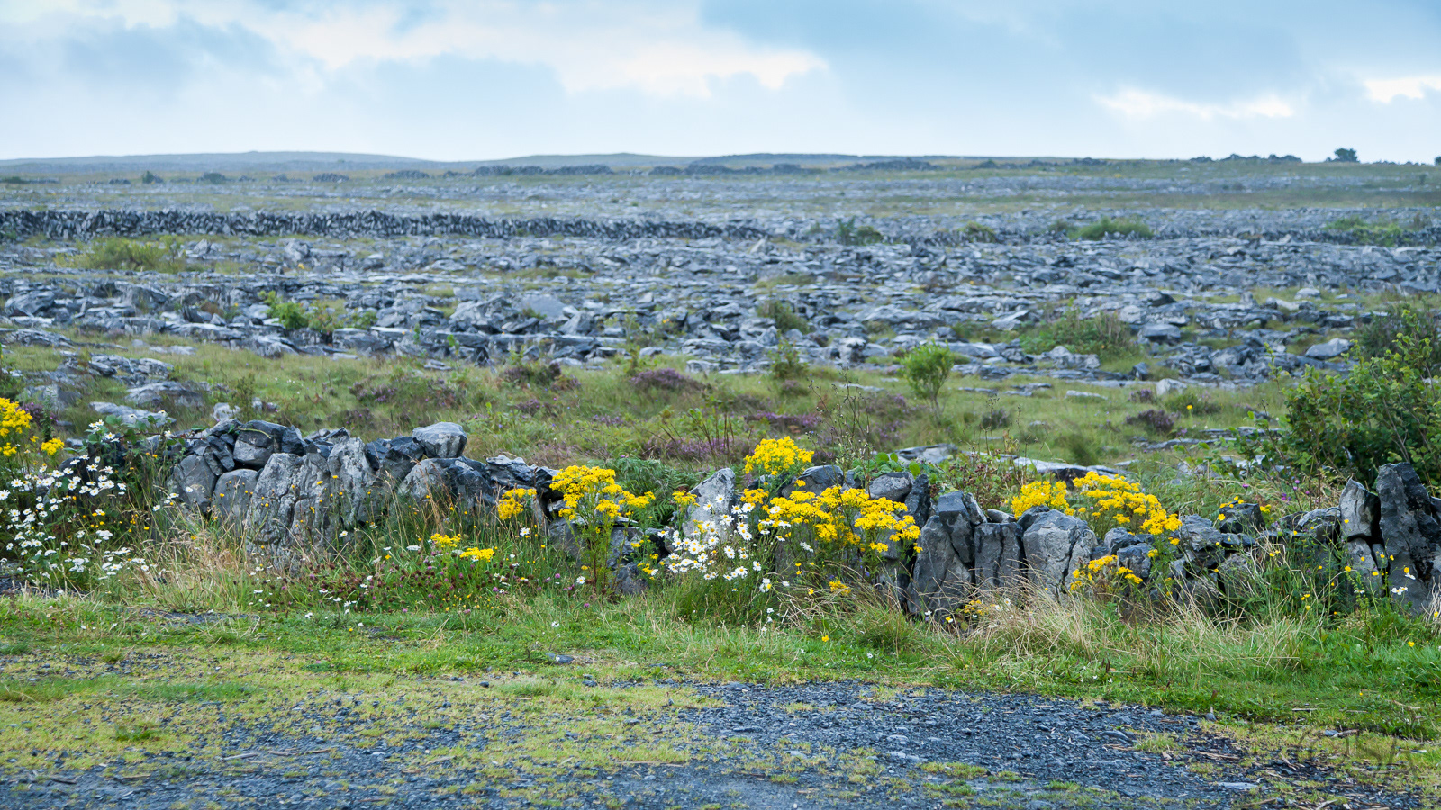 The Burren, Co. Clare, Ireland