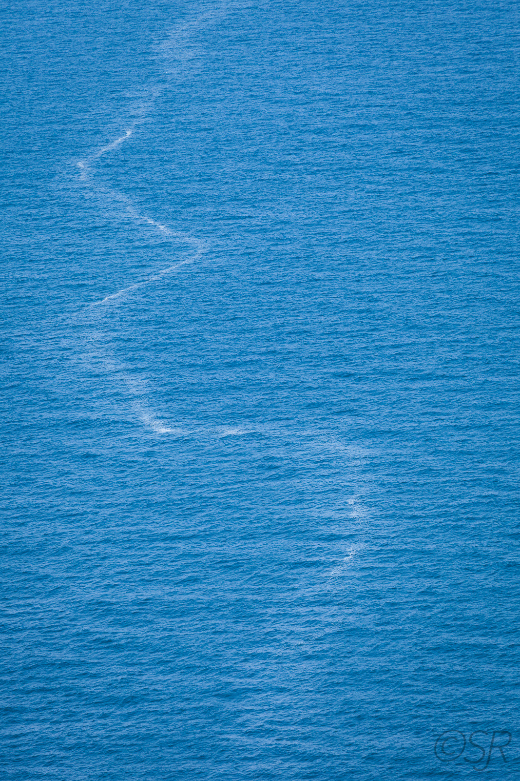 From the top of the Skyline Trail, Cape Breton Highlands National Park, Cabot Trail, NS
