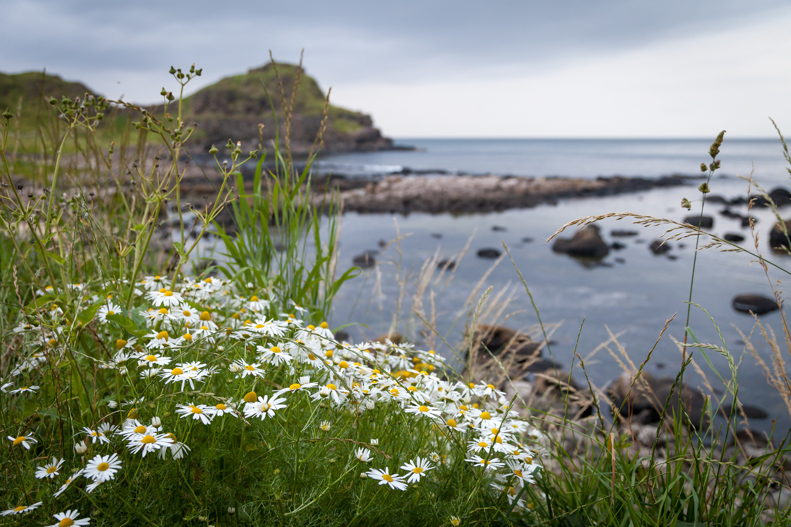 Giant's Causeway, Northern Ireland