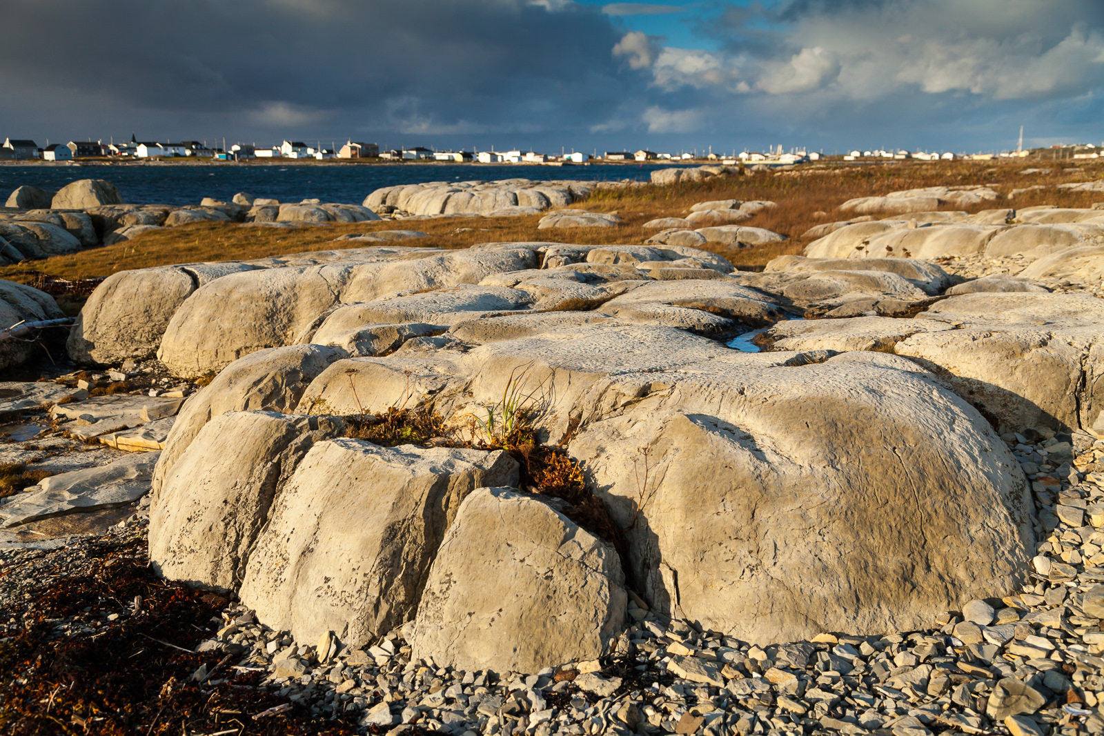 Rare thromoblites at Flower's Cove