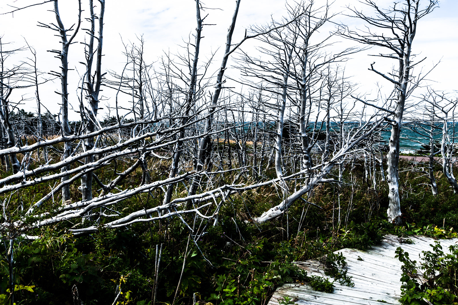 Arches Provincial Park