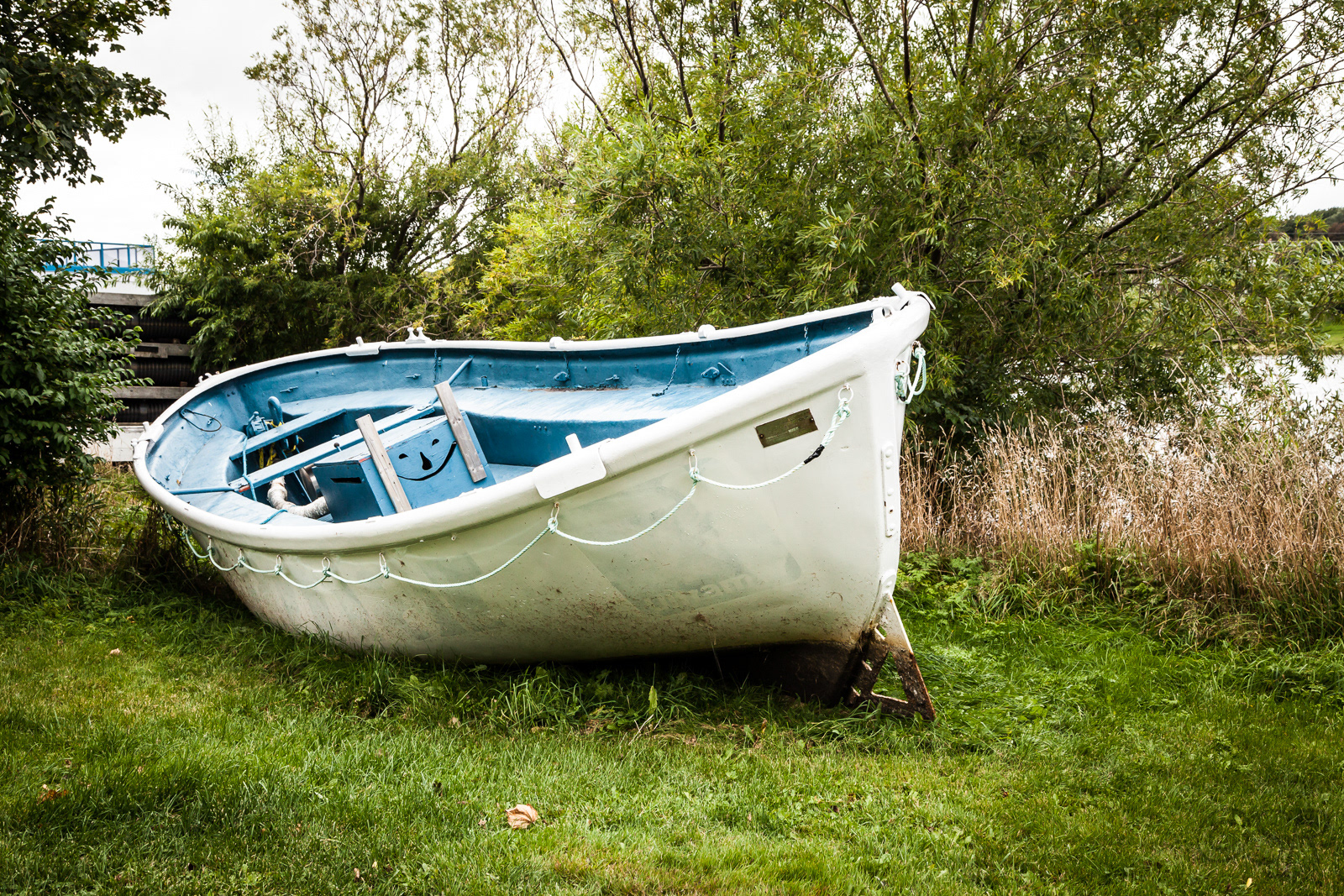 Along Quidi Vidi Lake, St. John's