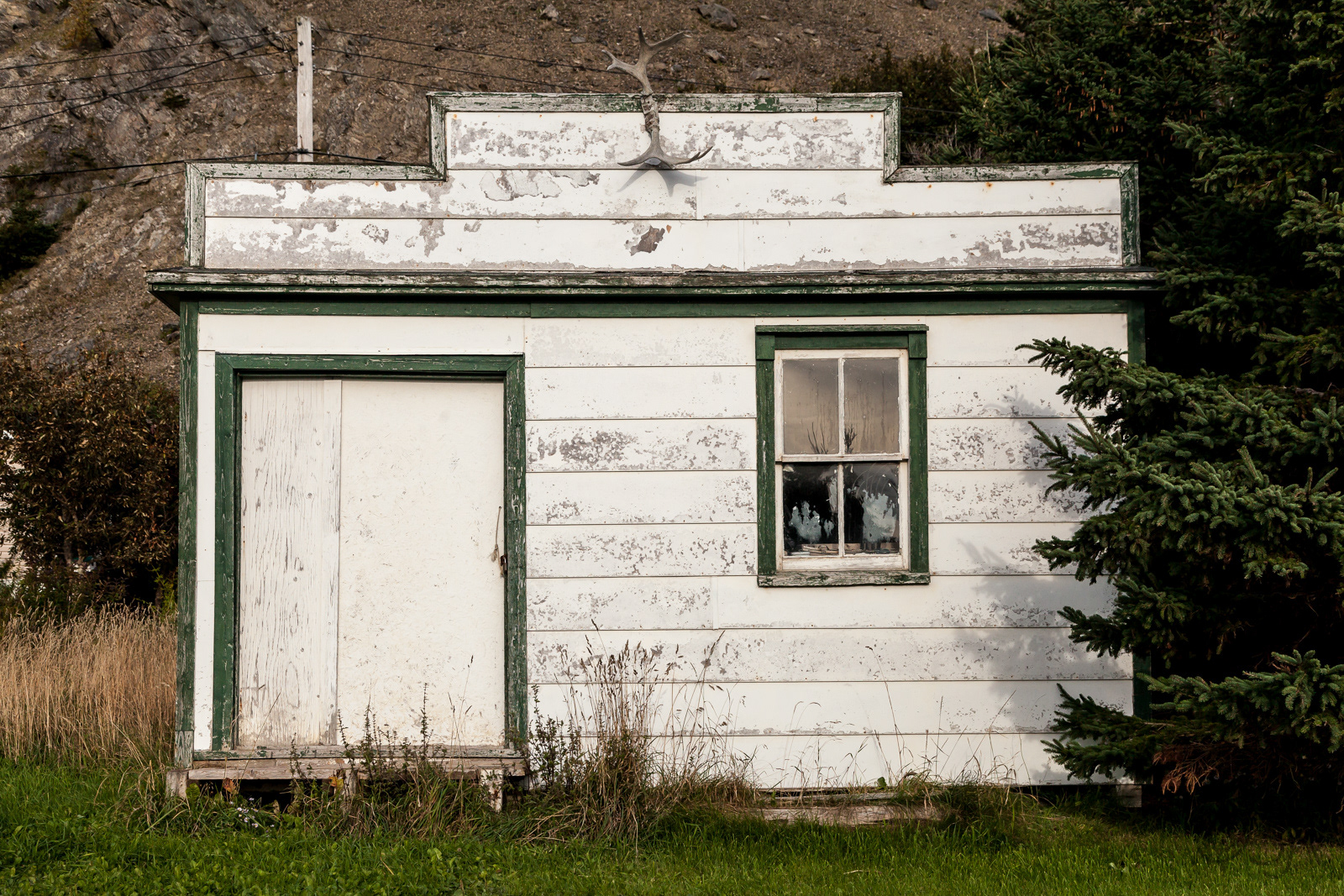 Rocky Harbour/Norris Point area