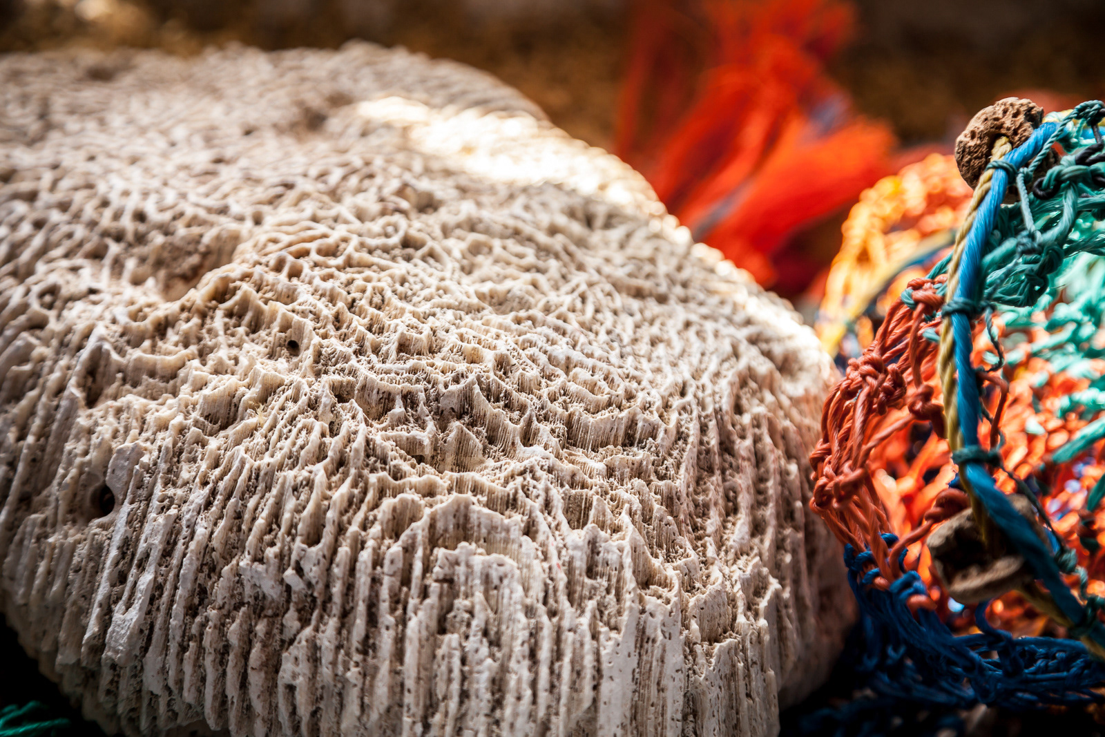 The Buoy Shack in Peggy's Cove, NS