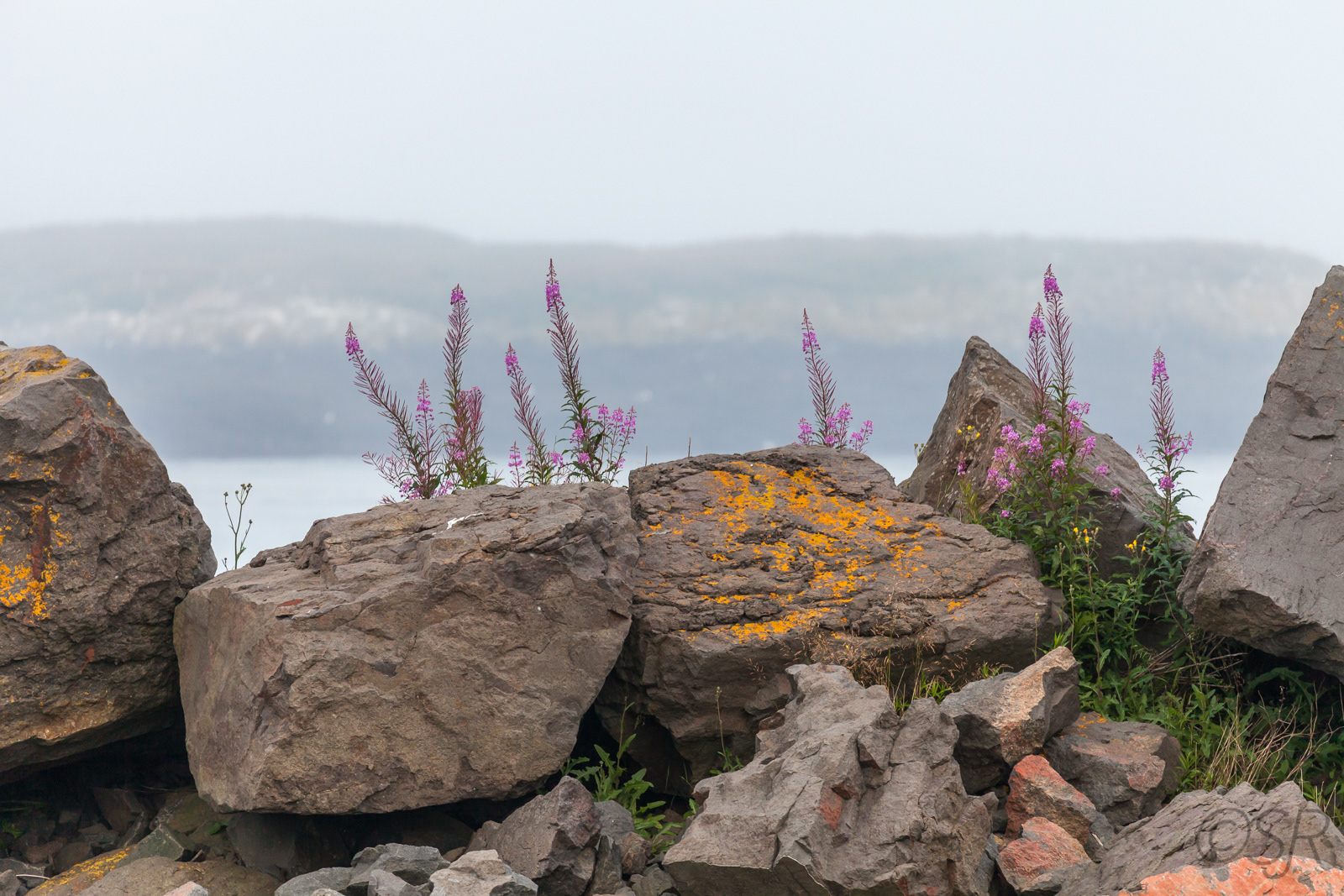 Westport, Brier Island, Digby Neck, NS