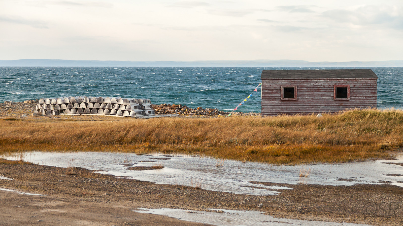 Along the Viking Trail