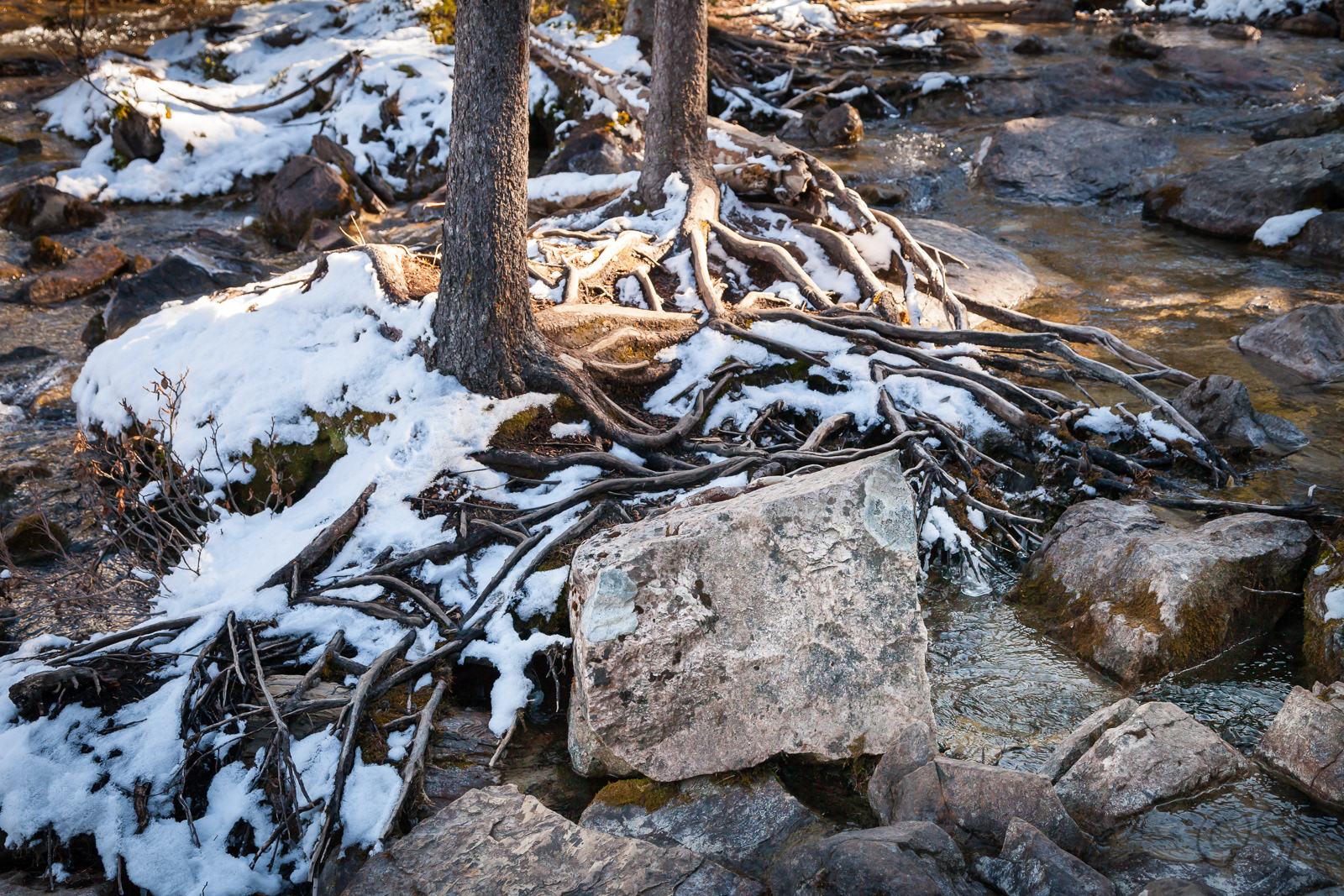 Moraine Lake trail
