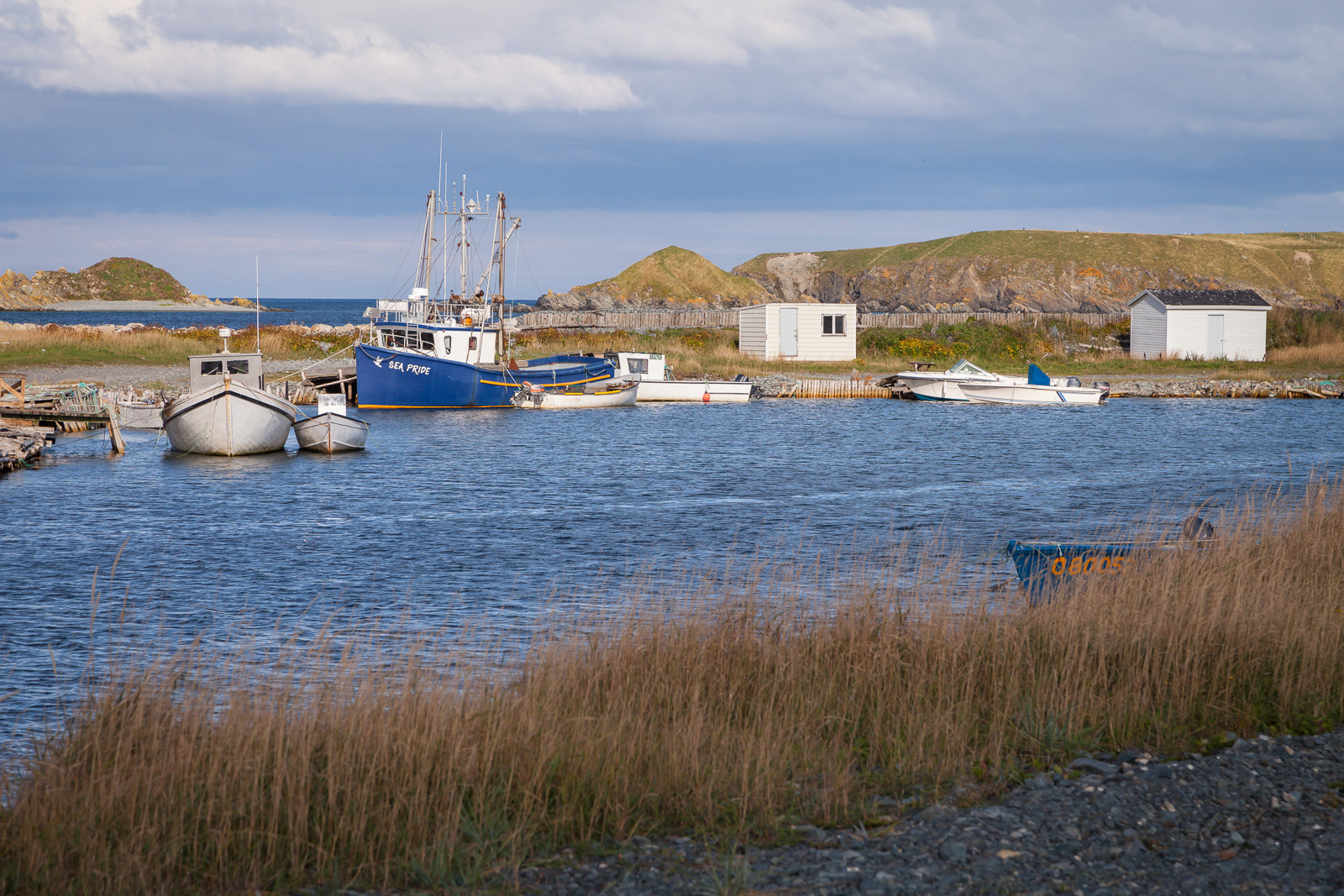  Harbour at Colony of Avalon, Ferryland