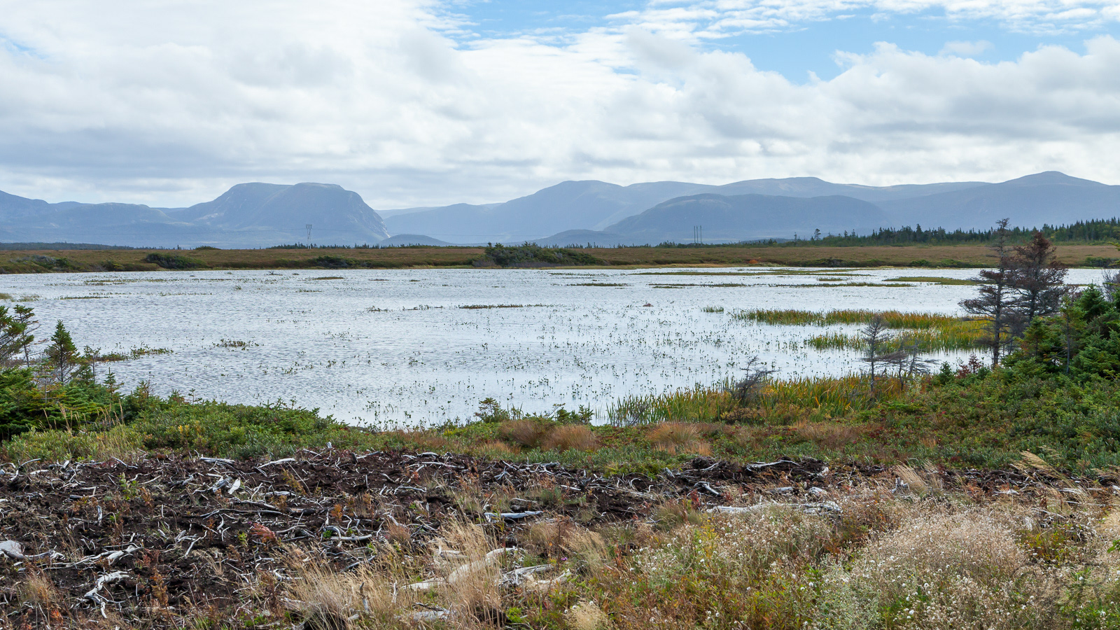 Along the Viking Trail