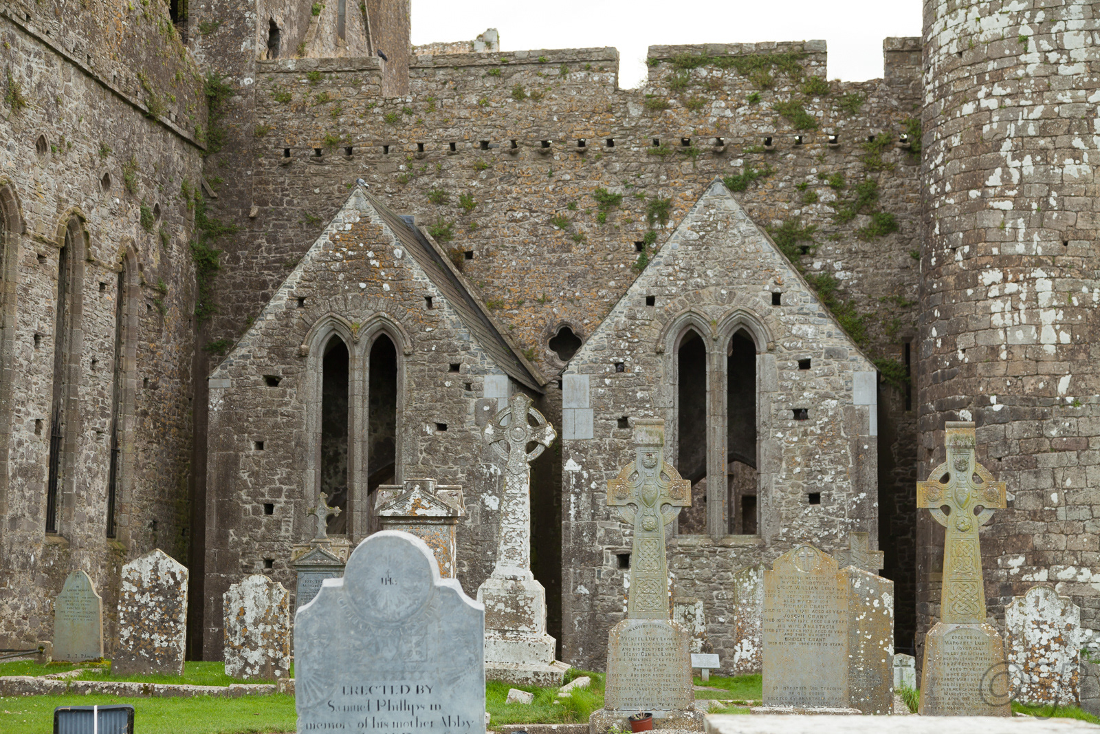 Rock of Cashel, Cashel, Co. Tipperary, Ireland
